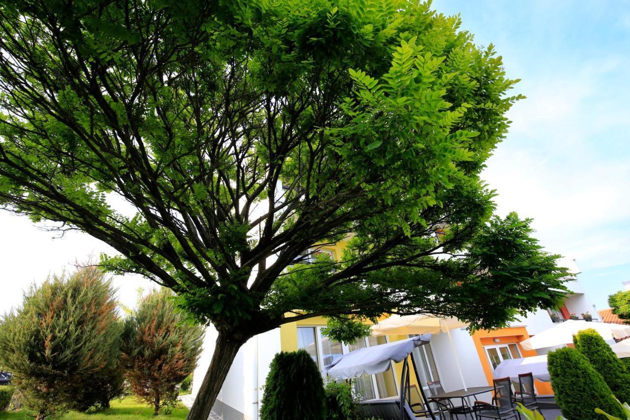 Stayinn Rainbow Houses Beachfront By Asteri Hotels Sunny Beach Exterior photo